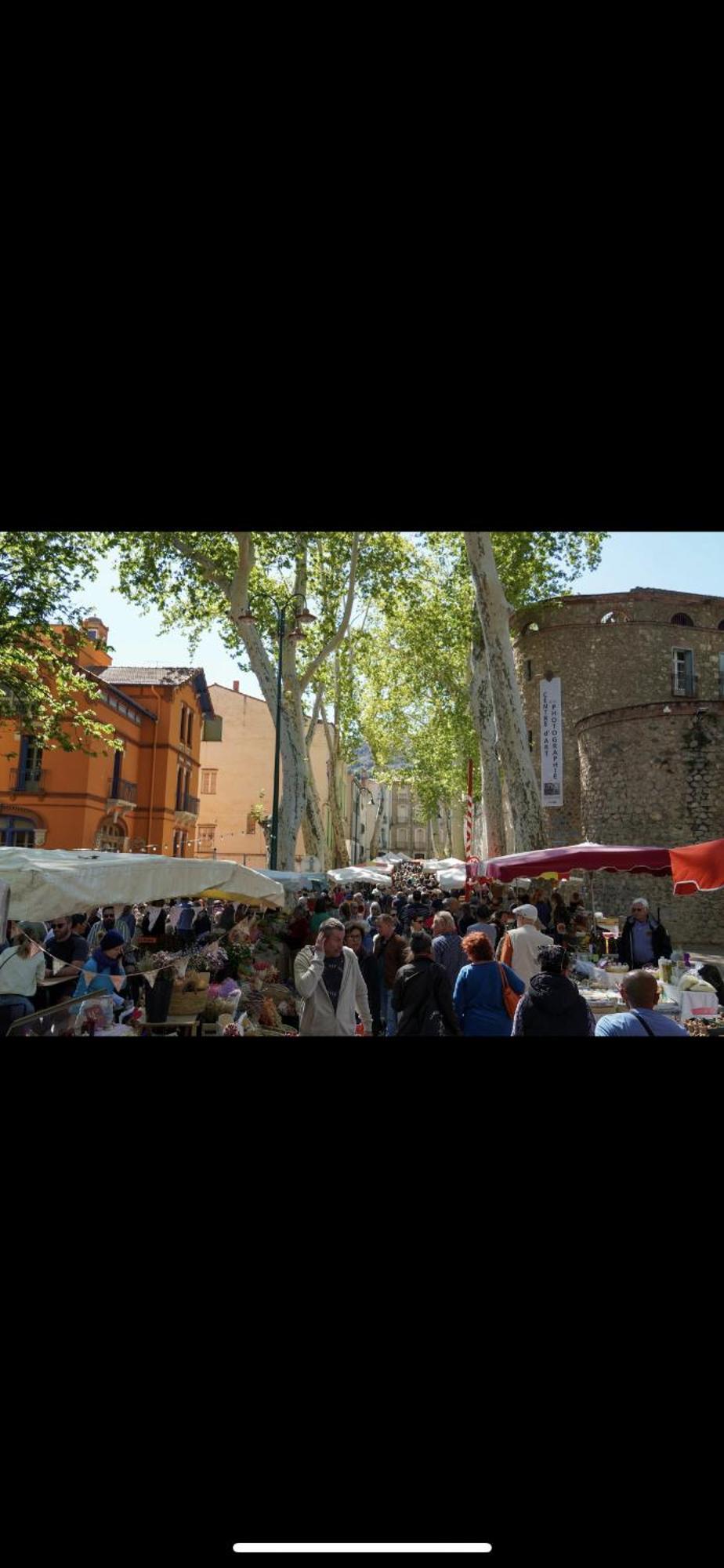 Maison De Vacances Le Bosquet Céret Dış mekan fotoğraf