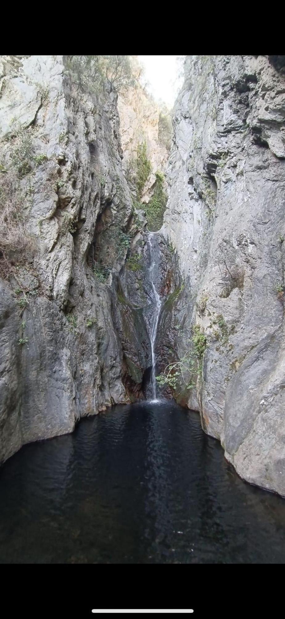 Maison De Vacances Le Bosquet Céret Dış mekan fotoğraf